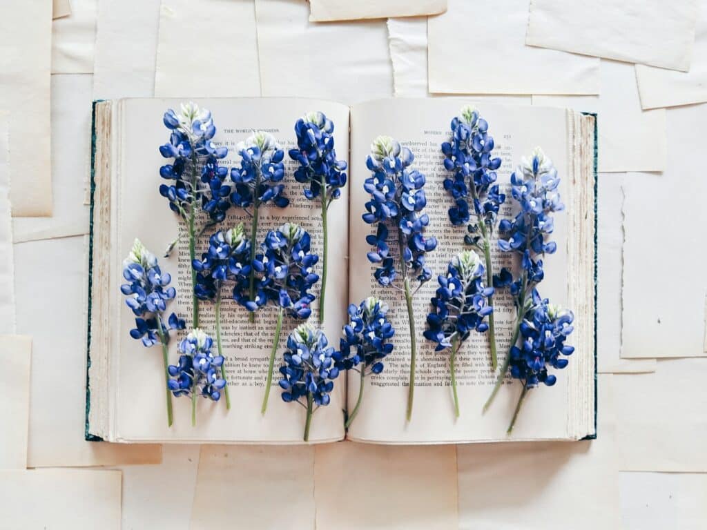 books our therapists are reading