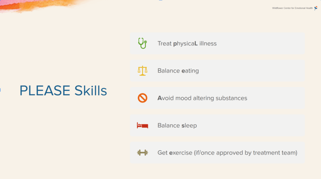 DBT PLEASE skills