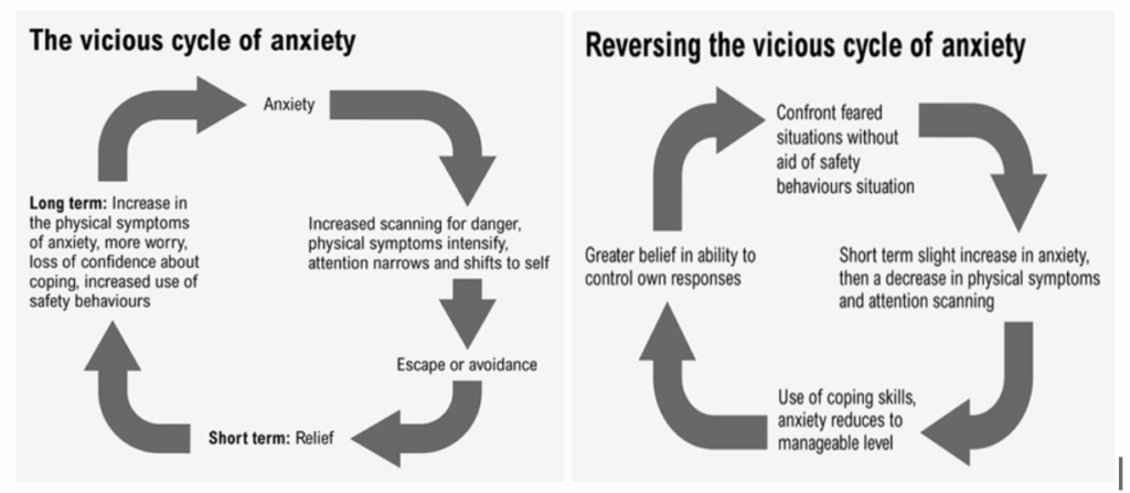The vicious cycle of anxiety graphic