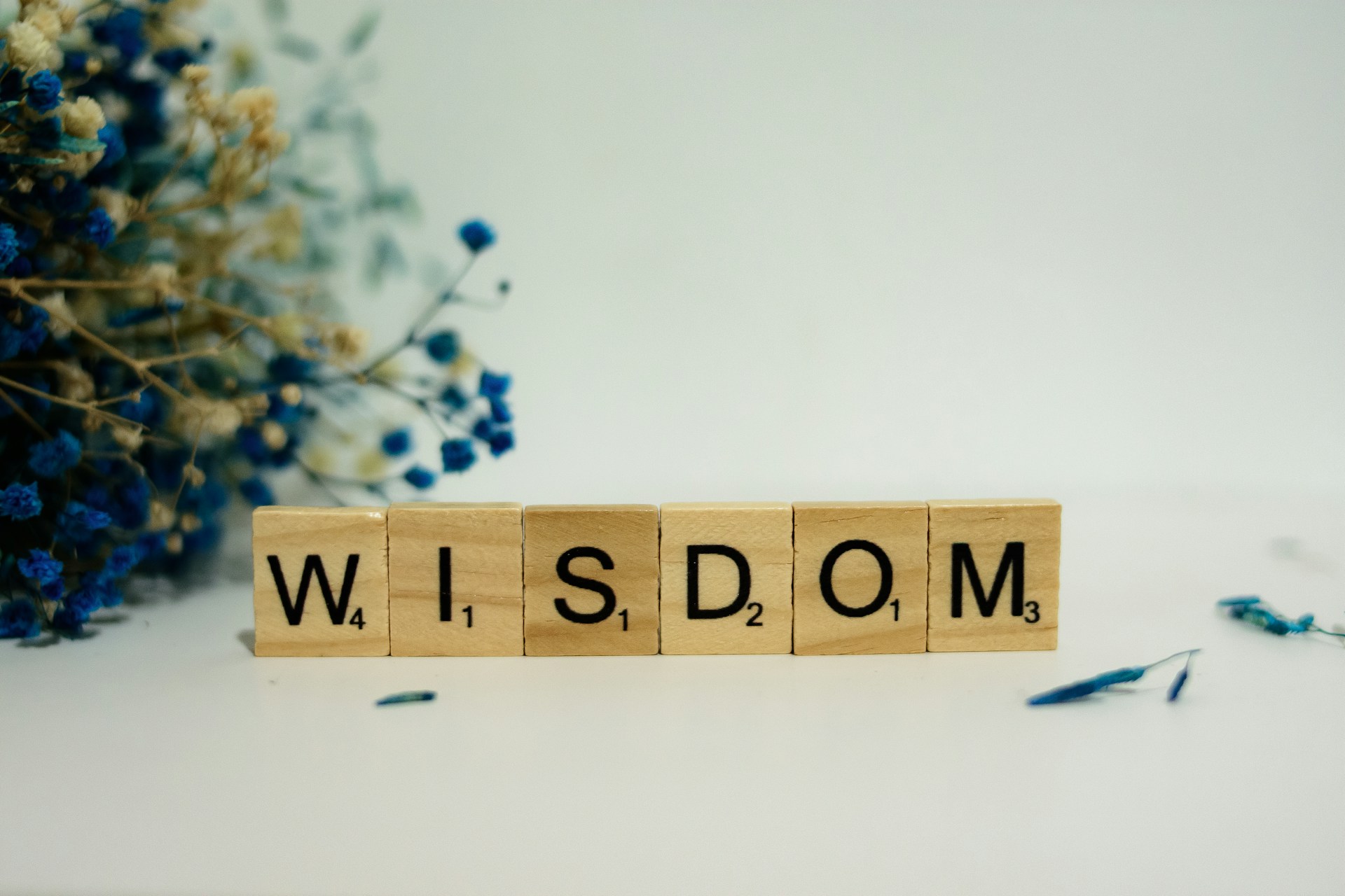 wise mind